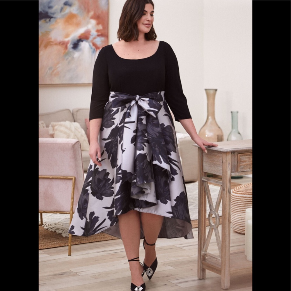 22W BNWT Laura Plus Fit and Flare Evening Dress